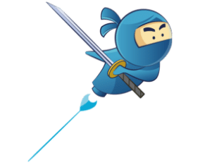 Ninja bleu - Consultant Conversion