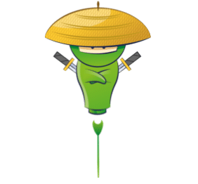 Ninja vert - Formateur web marketing
