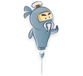 Ninja gris - Expert Acquisition web