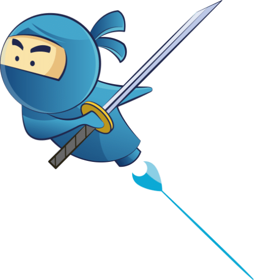 Expert Ninja Bleu