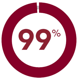 consultant 99% logiciel 1%