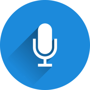SEO vocales requetes